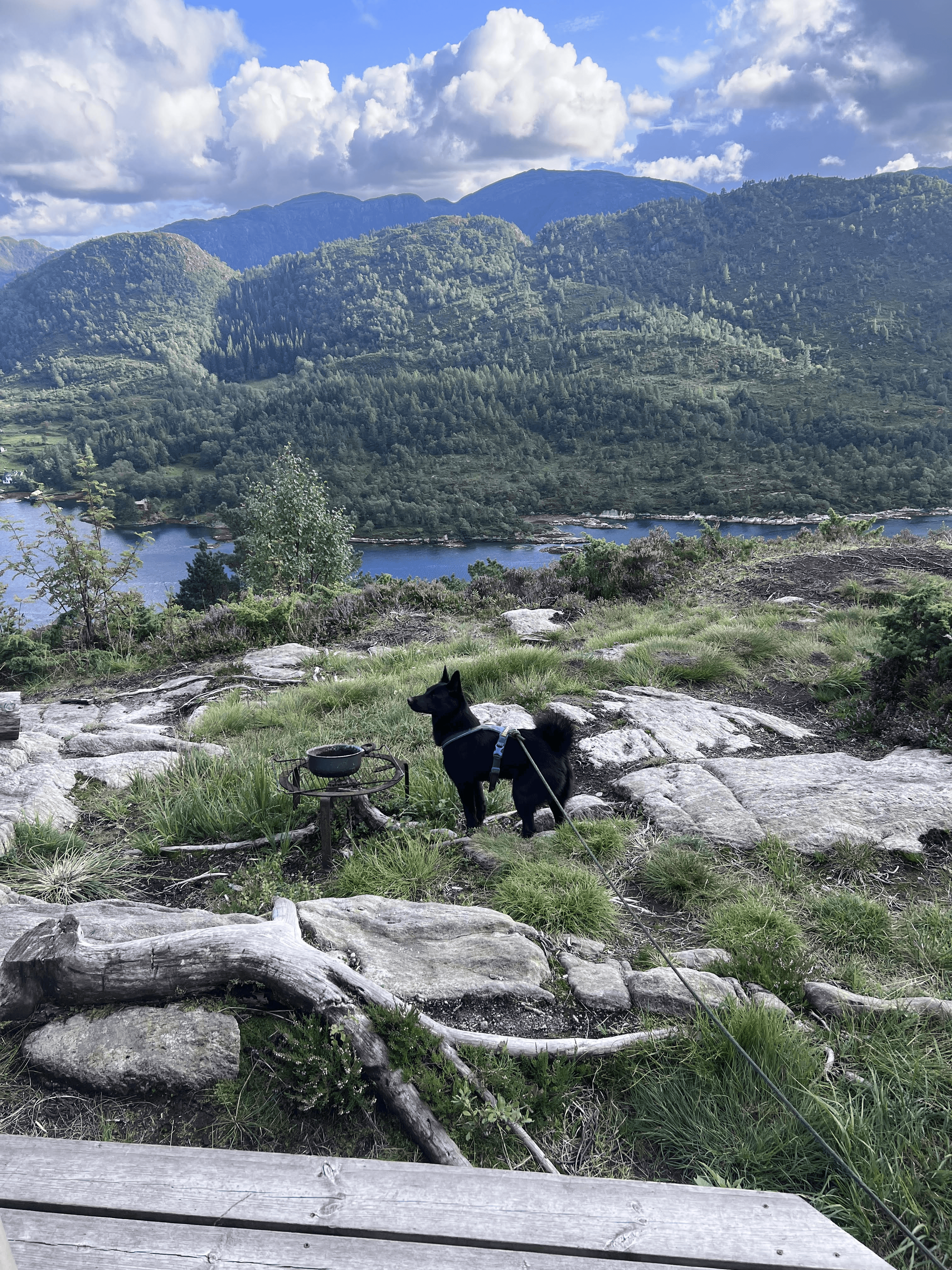 Livskvalitet- økt hverdagsglede