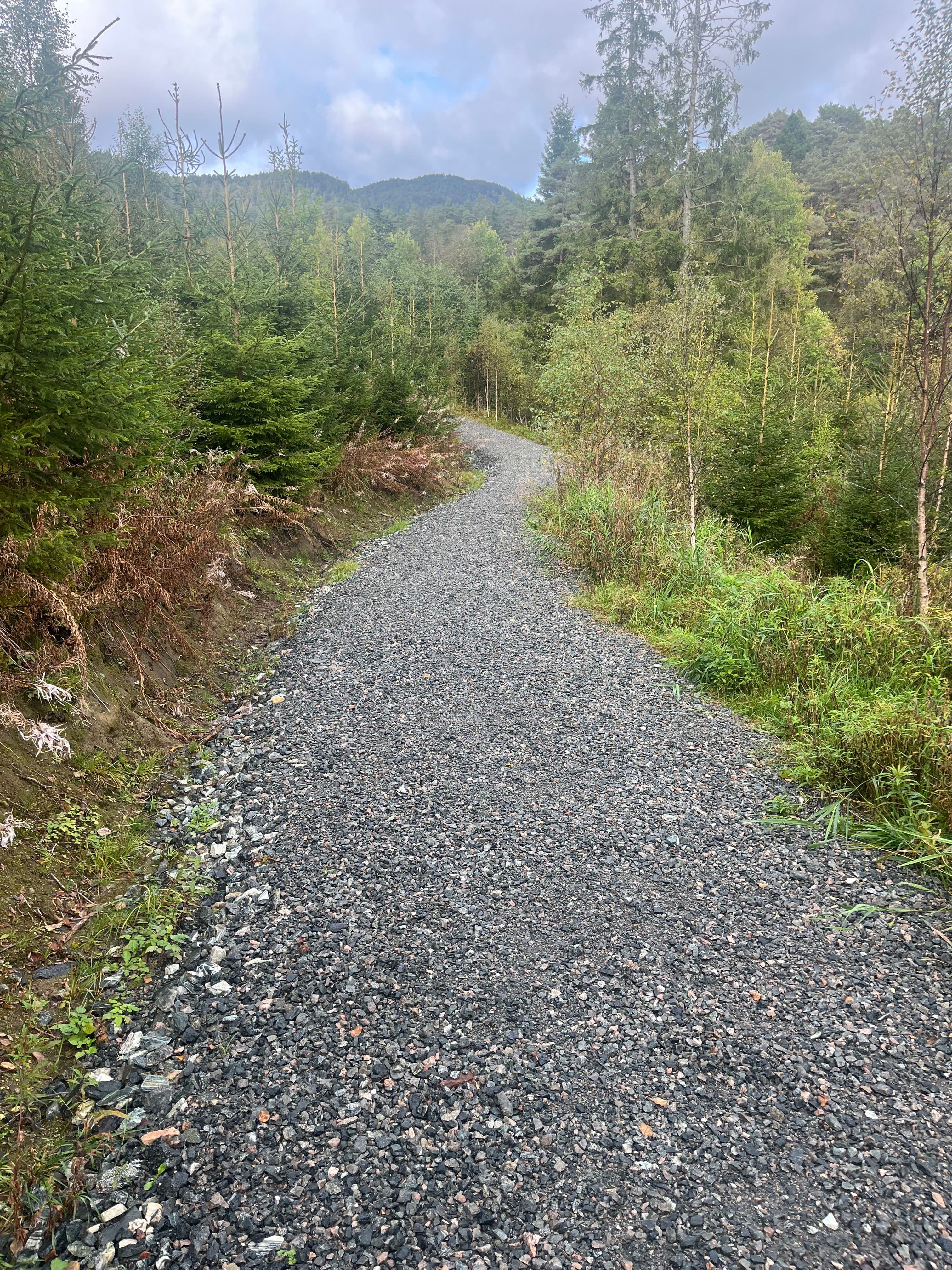 Bipolar lidelse behandling